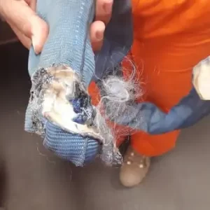 Eslinga Quemada